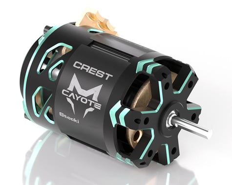 Cayote Crest Stock 1/10 Brushless Competition Sensored Motor (21.5T)